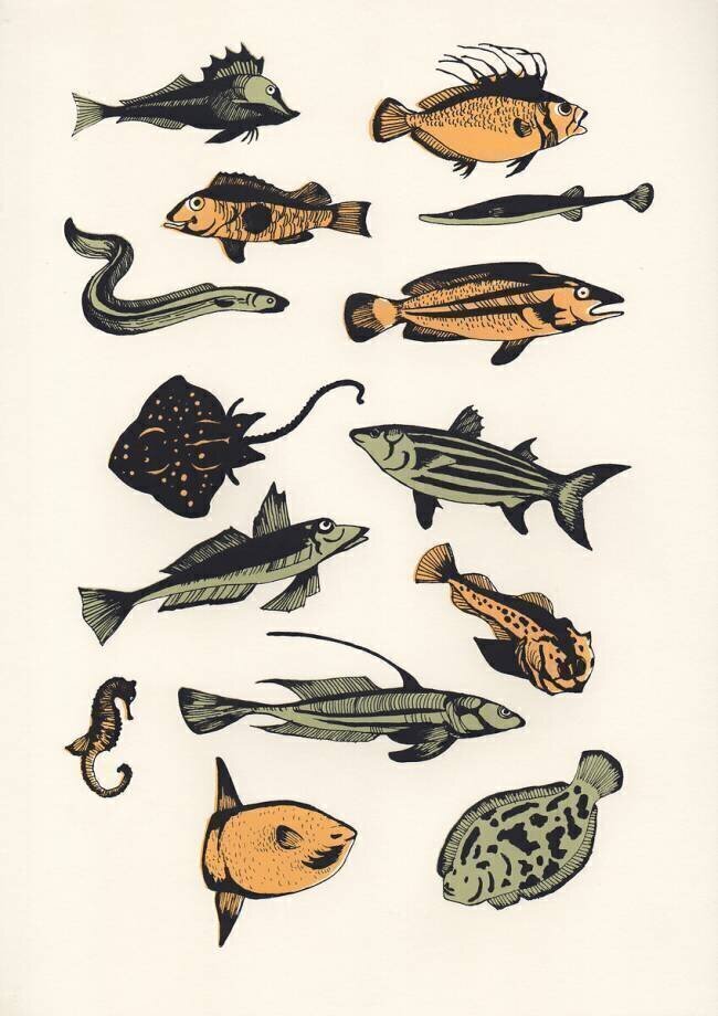 Plain Fish Eliza Southwood