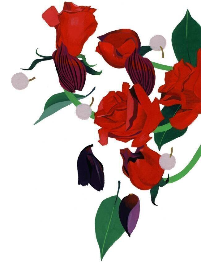 Red rose Hiroyuki Izutsu