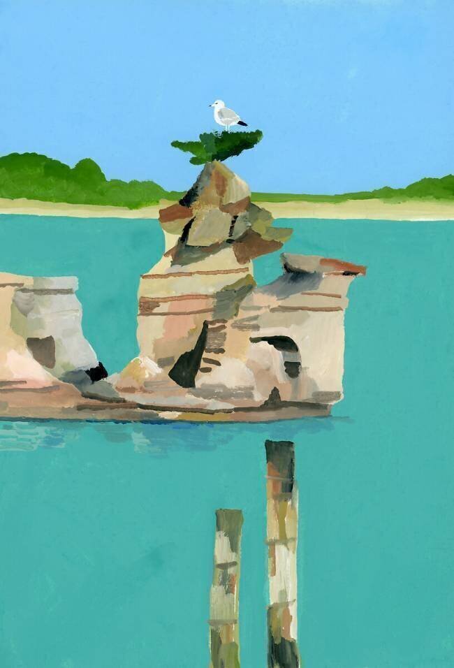 Seagull resting Hiroyuki Izutsu