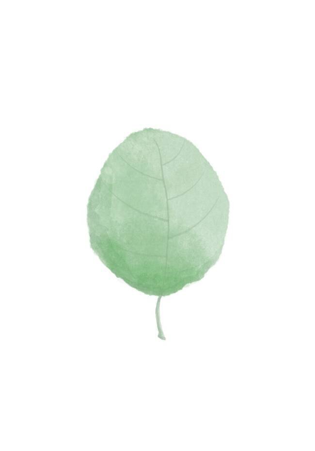 Single Leaf 1x Studio