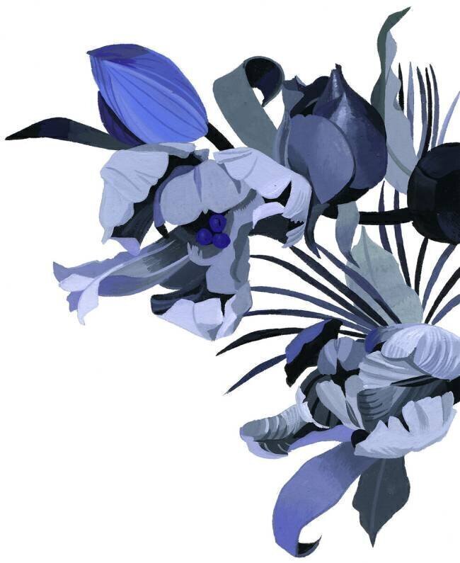 Tulip drawn in gray tone Hiroyuki Izutsu