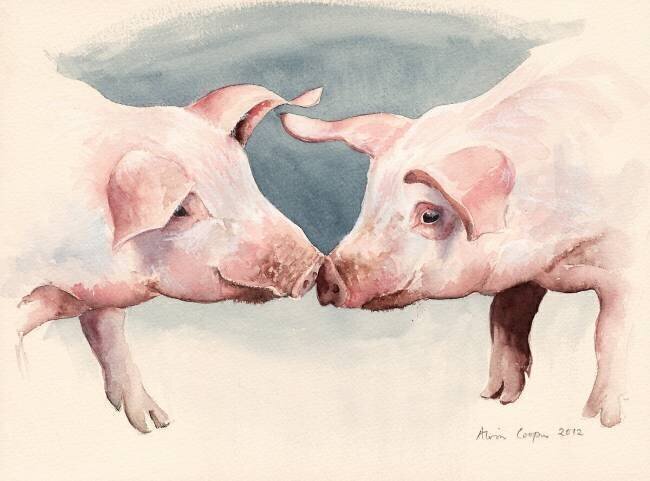 Two Little Piggies Alison Cooper