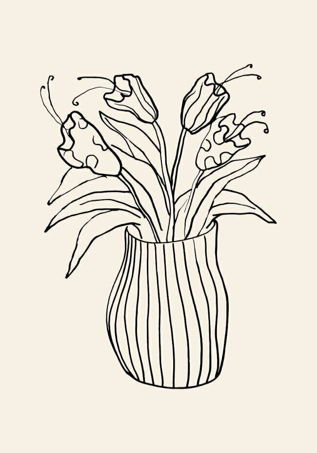 Vase Sketch 1x Studio