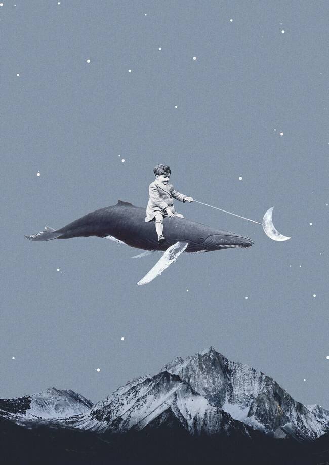 Visez la lune Maarten Leon