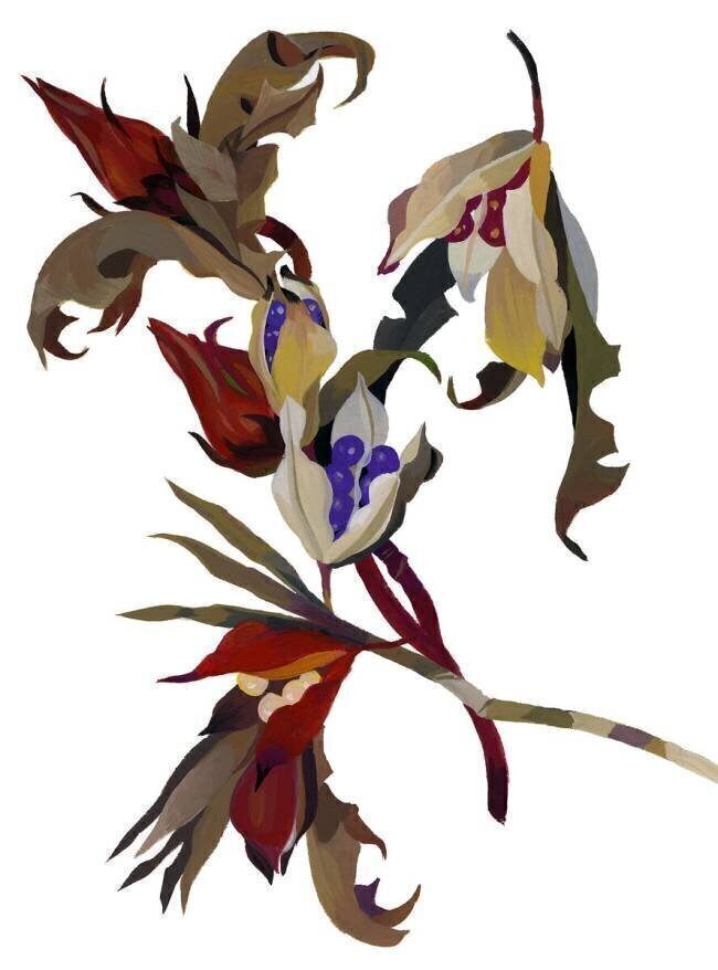 Winter-inspired flowers Hiroyuki Izutsu