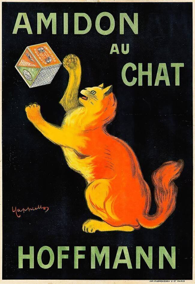 Amidon au Chat Leonetto Cappiello