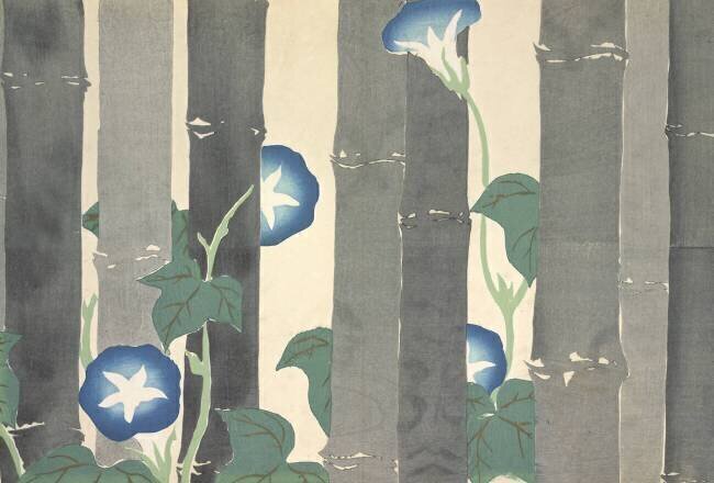 Asagao Kamisaka Sekka