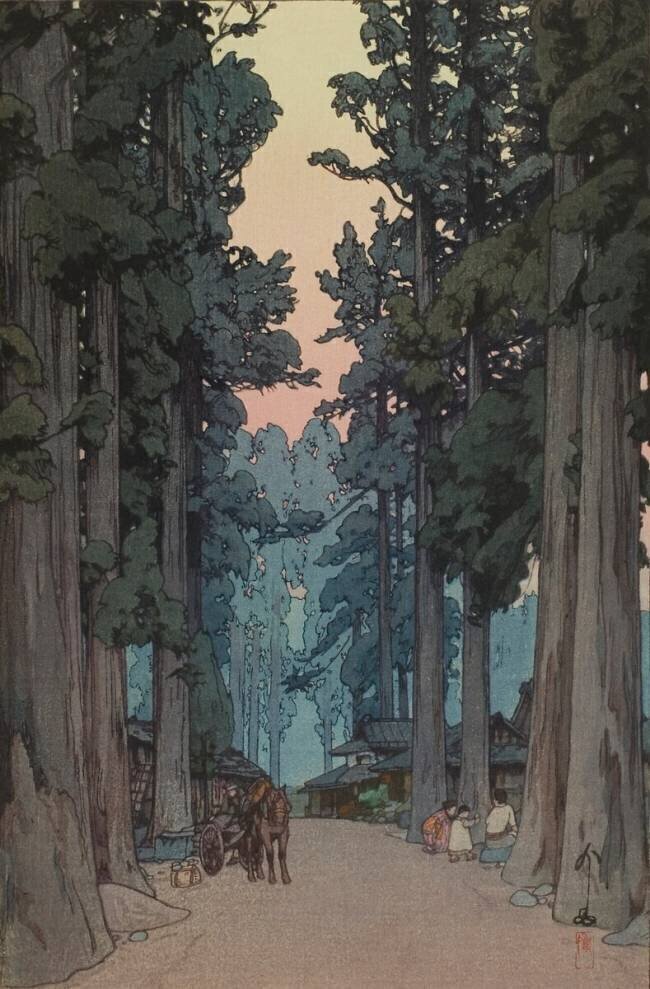 Avenue Cryptomeria Hiroshi Yoshida