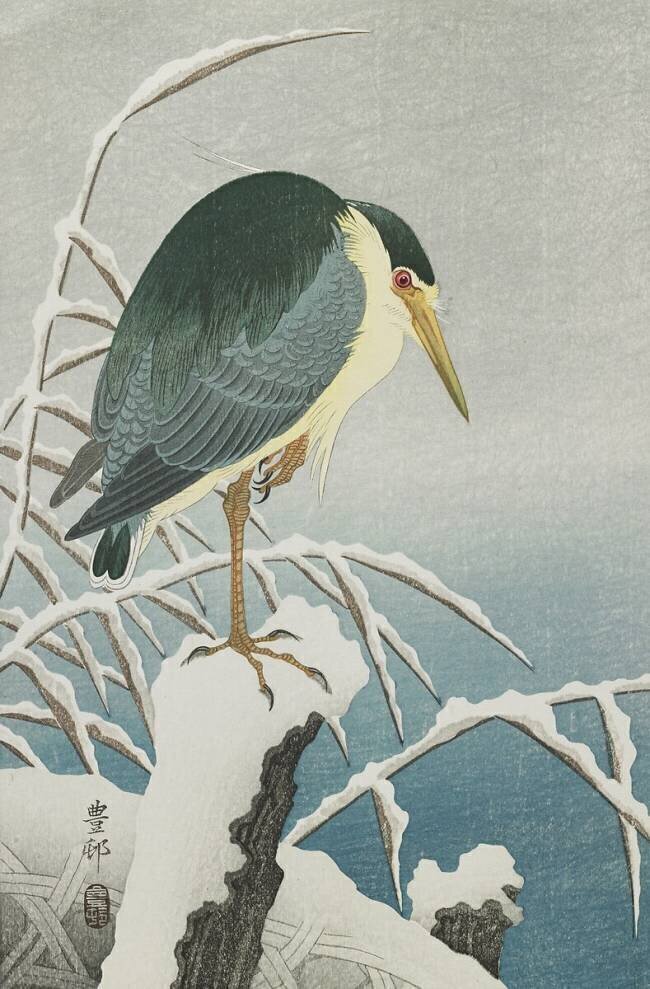 Bihoreau à couronne noire dans la neige Ohara Koson