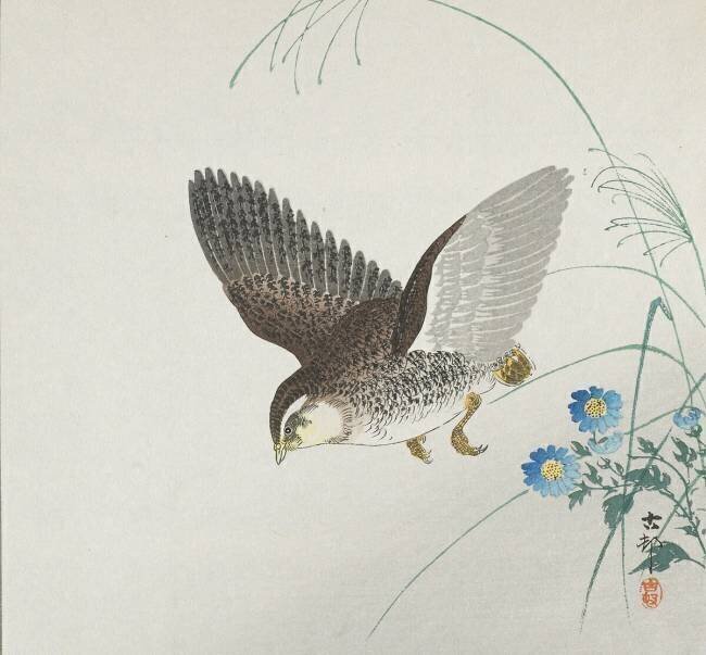 Caille en vol Ohara Koson