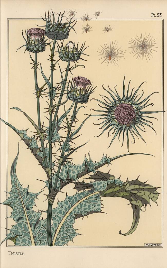 Chardon Eugène Grasset