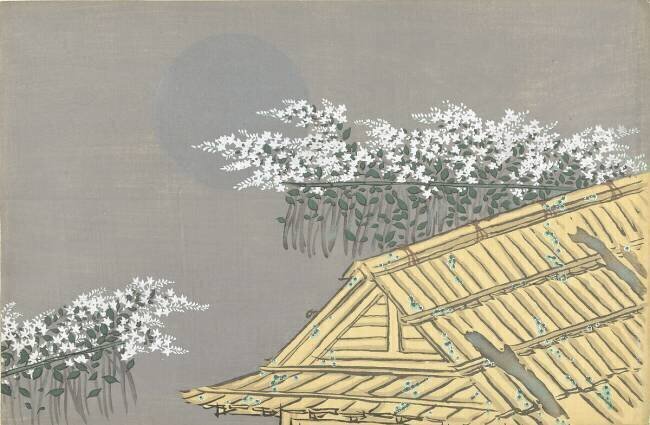 Des fleurs blanches à la maison Kamisaka Sekka