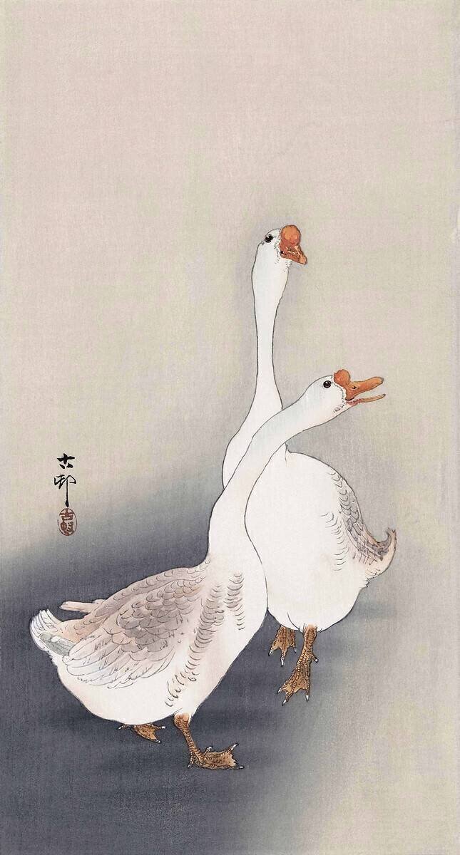 Deux oies Ohara Koson