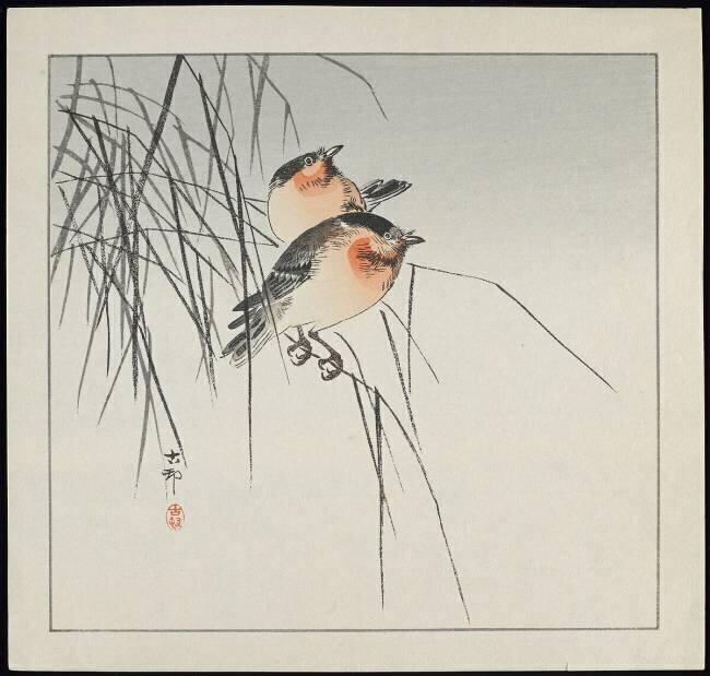 Deux oiseaux sur des roseaux Ohara Koson