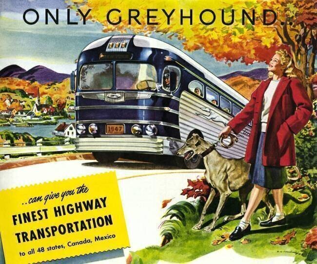 Entraîneur longue distance Greyhound anonyme