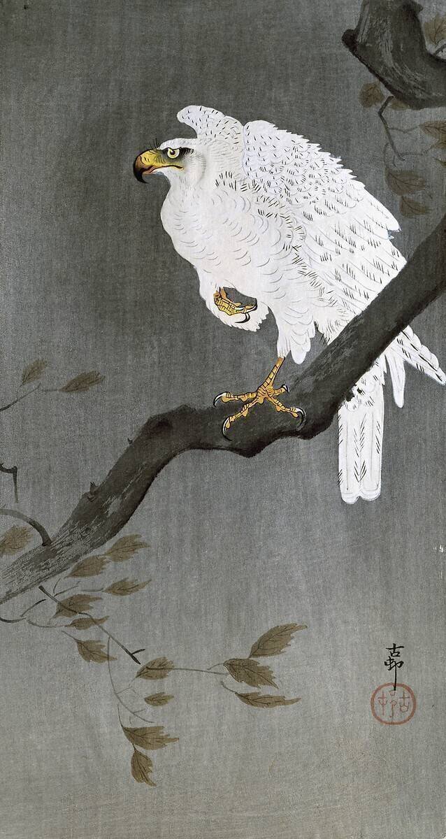 Faucon sur une branche Ohara Koson