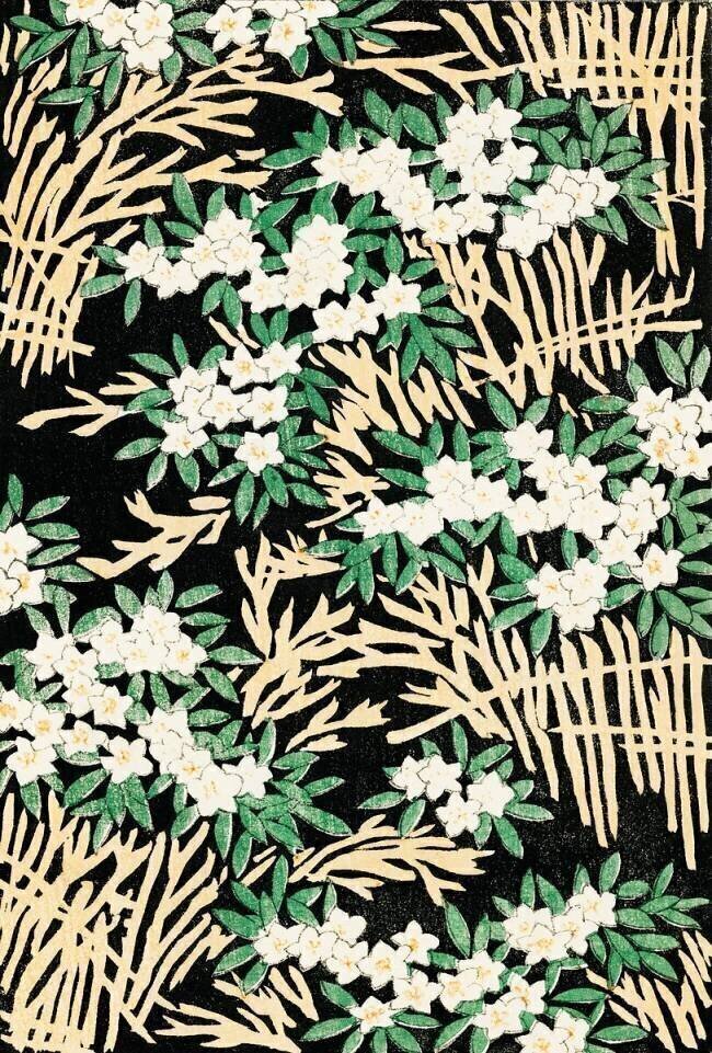 Forêt Watanabe Seitei