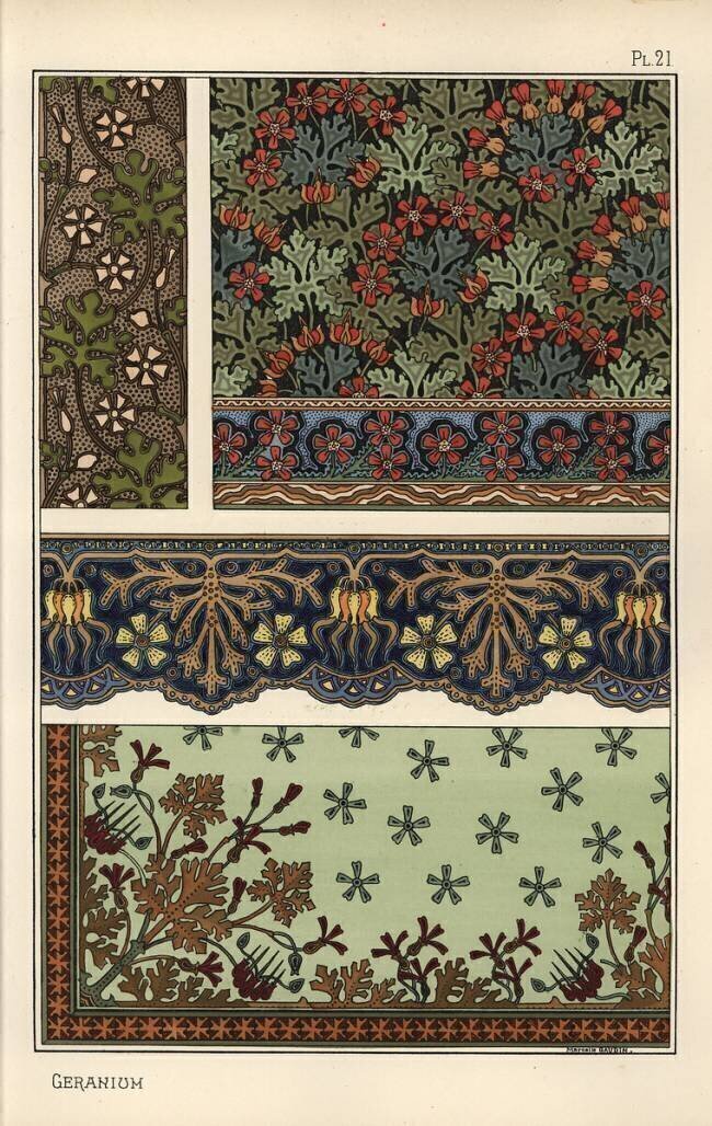 Géranium Eugène Grasset