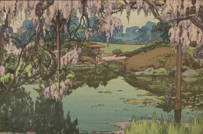 Glycine Hiroshi Yoshida