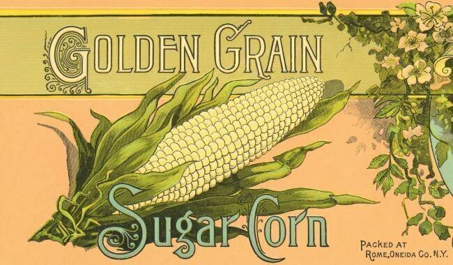 Golden Grain Sugar Corn Product Label anonyme