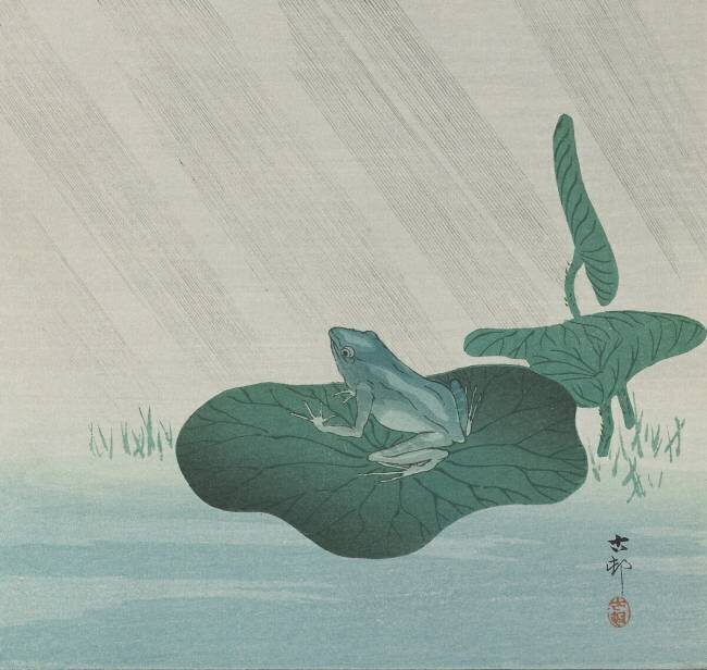 Grenouille sous la pluie Ohara Koson