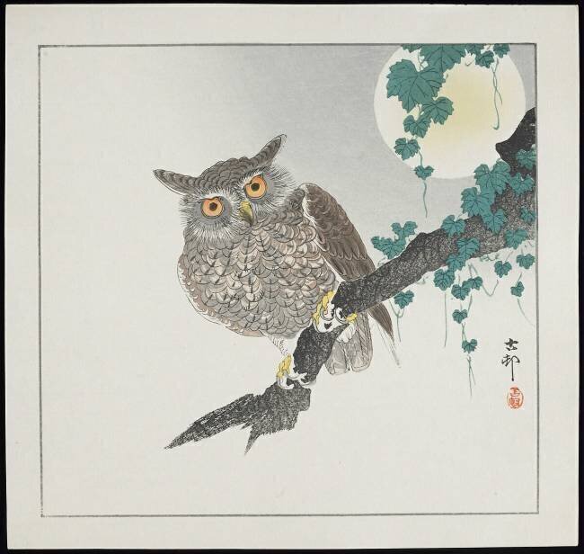 Hibou Ohara Koson