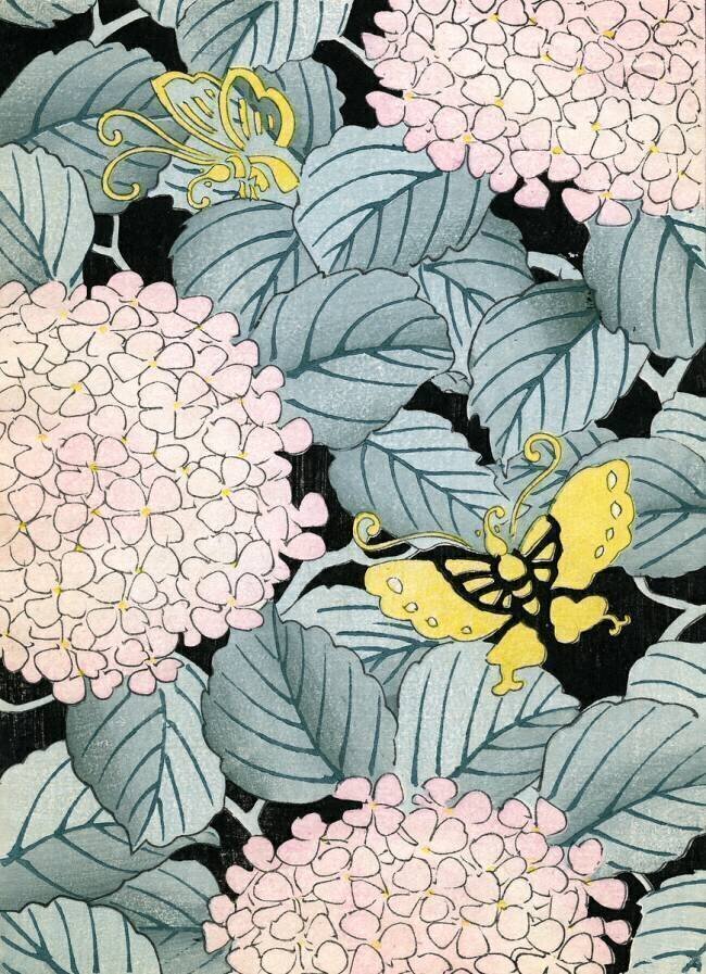 Hydrangeas and Butterflies anonyme