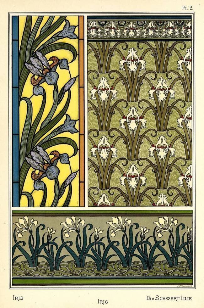 Iris Maurice Pillard Verneuil
