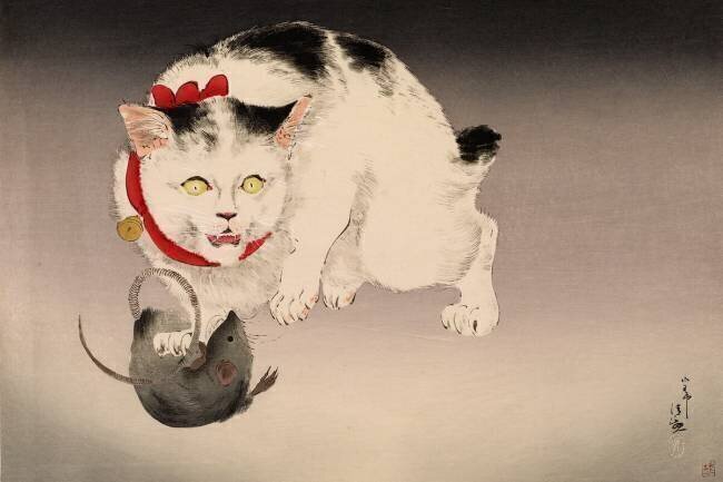 Le chat qui voit tout Kiyochika Kobayashi