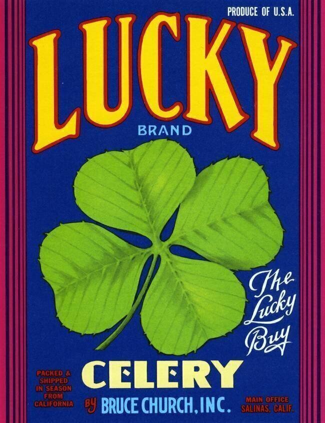 Lucky Brand Celery Fruit Crate Label anonyme