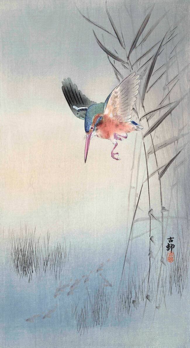 Martin-pêcheur à la recherche de poissons Ohara Koson