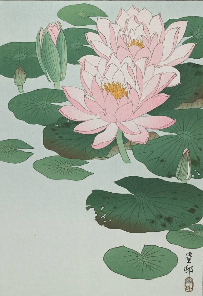 Nénuphar Ohara Koson