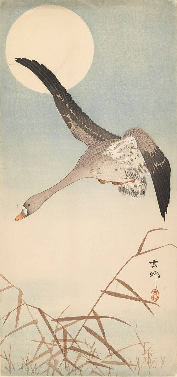Oie volant au clair de lune Ohara Koson