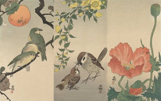 Oiseaux et plantes Ohara Koson