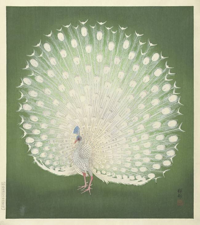 Paon Ohara Koson