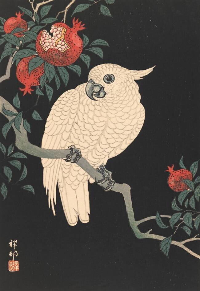 Perroquet blanc et grenade Ohara Koson