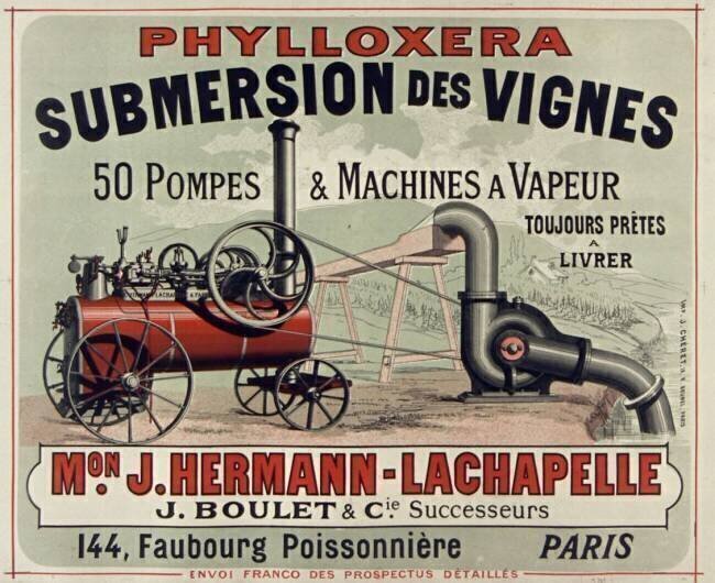 Phyloxera, Submersion des Vignes, 50 pompes et machines à vapeur Jules Chéret