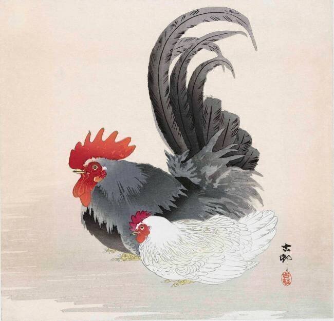 Poulet et coq Ohara Koson