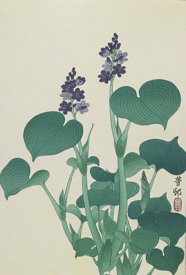 Rose trémière Ohara Koson