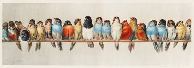 Un perchoir d'oiseaux Hector Giacomelli