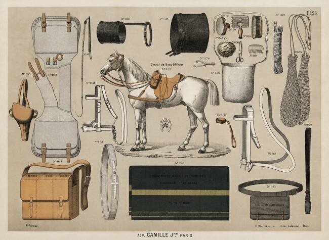 Une chromolithographie de chevaux avec des équipements d'équitation anciens anonyme