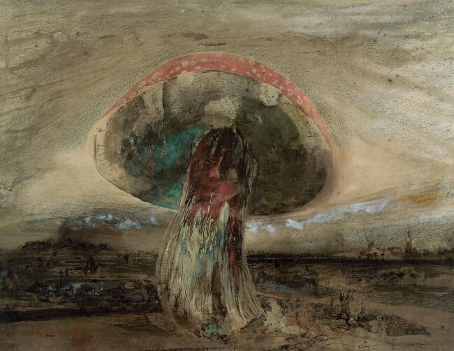Champignon Victor Hugo