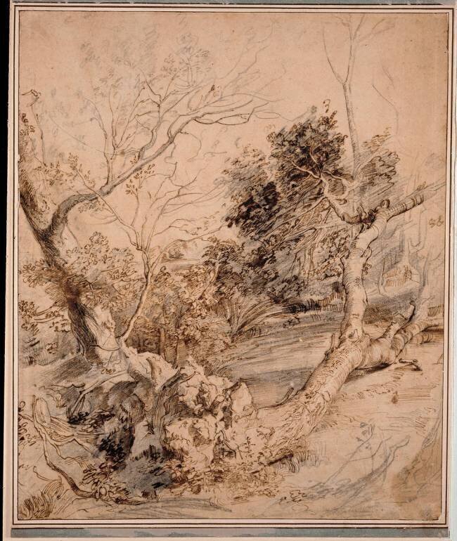 Etude d'arbres Peter Paul Rubens