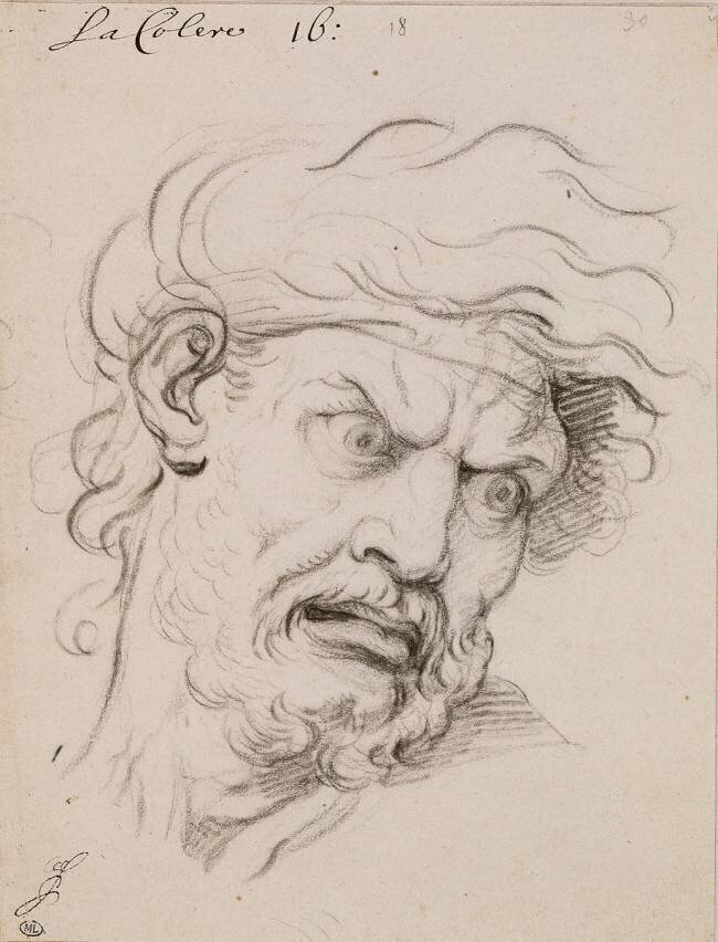 Expression des passions de l'âme : La Colère, tête de trois quarts à droite Charles Le Brun