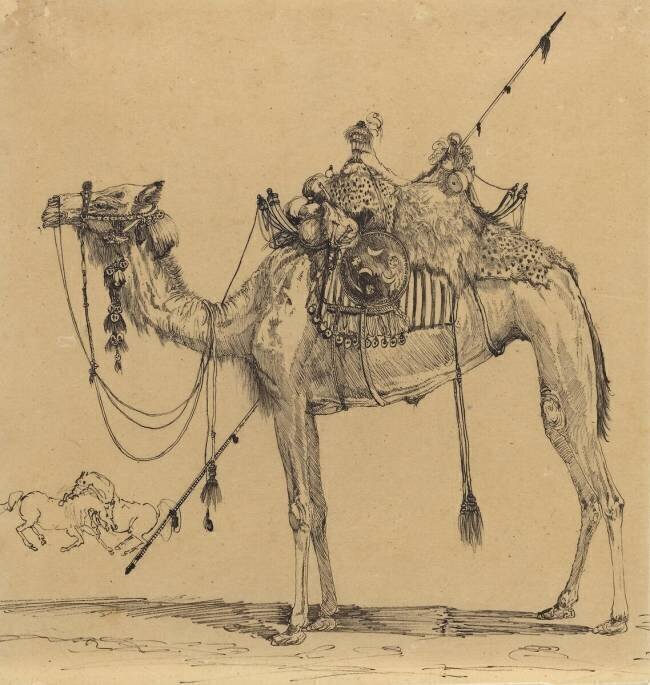 Le chameau Rodolphe Bresdin