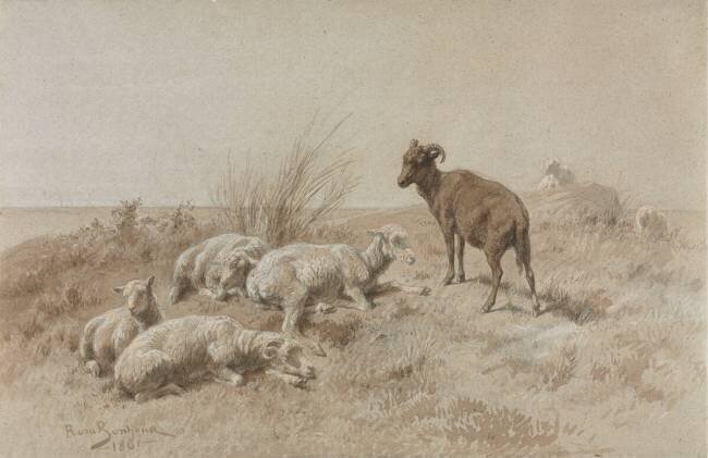 Moutons Rosa Bonheur