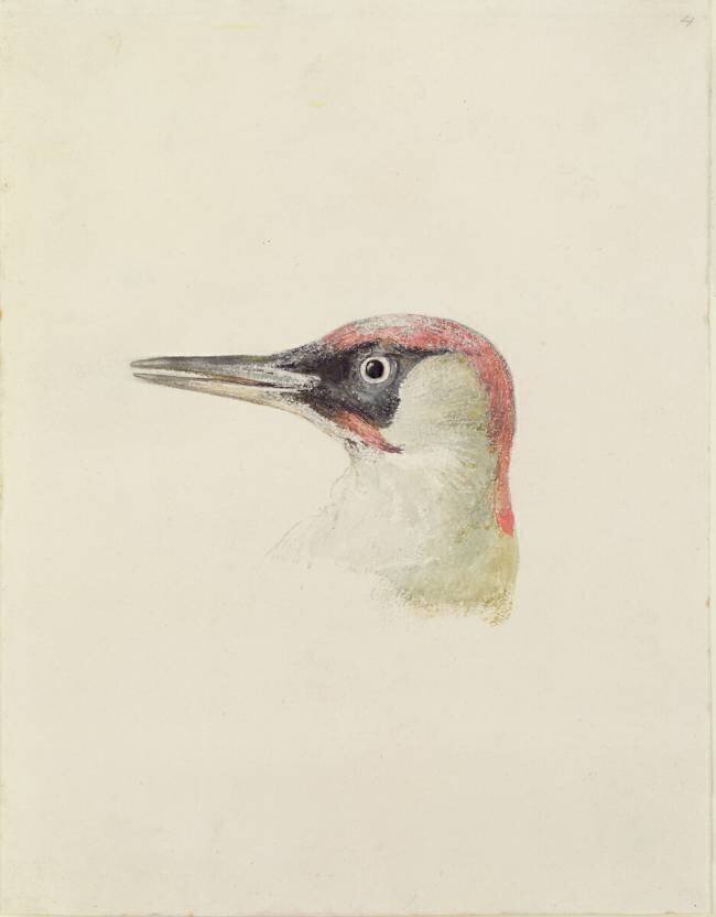 Pivert Joseph Mallord William Turner