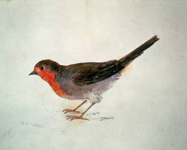 Rouge-gorge Joseph Mallord William Turner