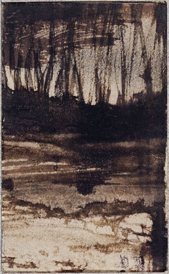 Sous-bois Victor Hugo