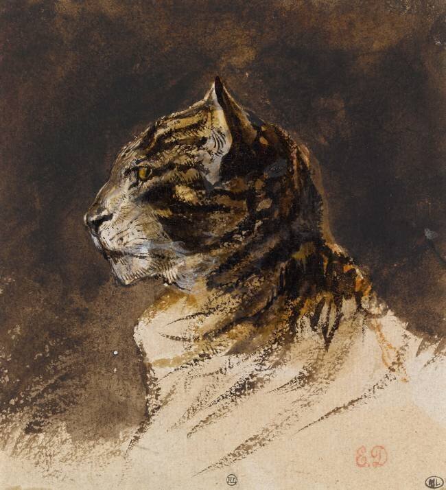 Tête de chat Eugène Delacroix